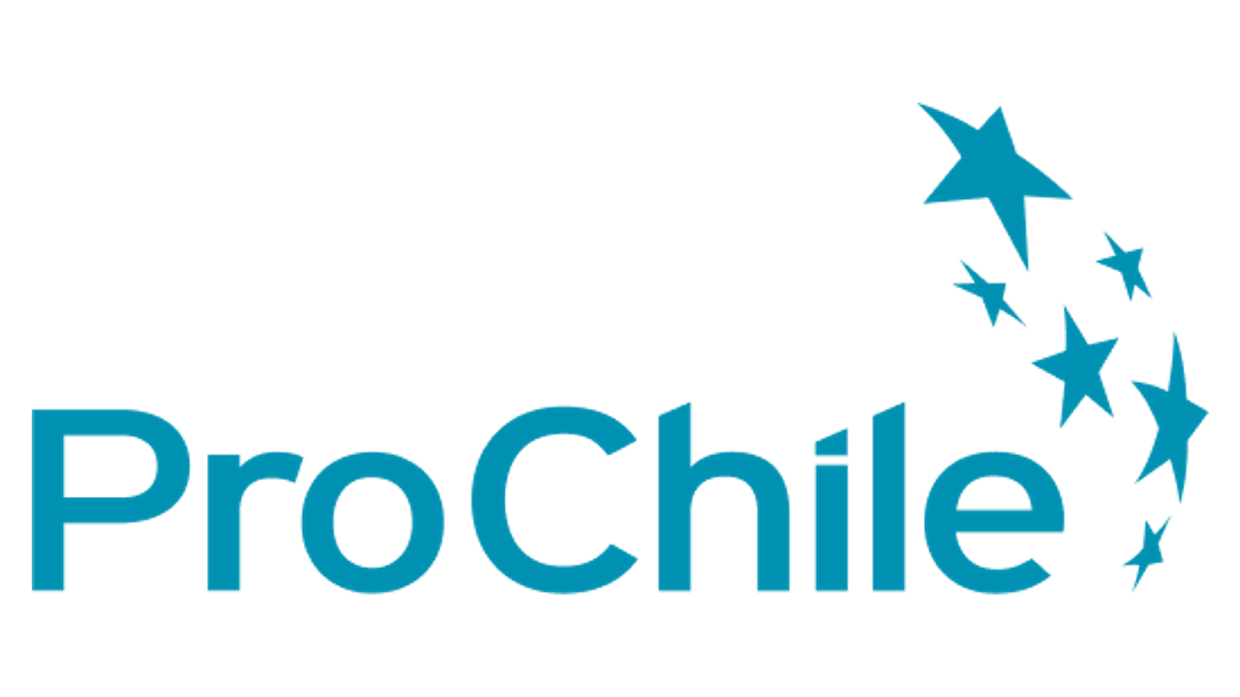 ProChile Corregido